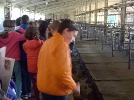 visite-ferme-6eme-2016