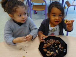 thumbnail_IMG_20171107_085853