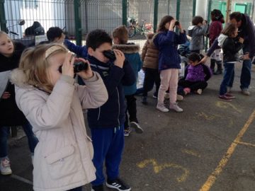 Les CP rencontrent la LPO