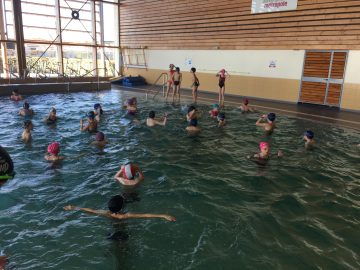 Cycle de piscine pour les CE2/CM1 et CM1/CM2