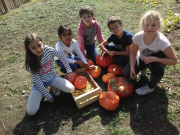Première récolte du jardin