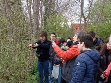 Des mini-jardins en ULIS