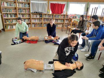 Formation aux gestes de Premier Secours