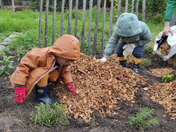 TPS : Projet plantation