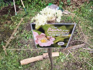 Les Ecodélégués au jardin