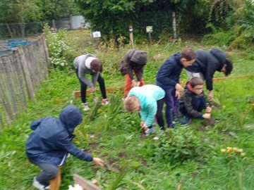 Travaux d’automne au jardin