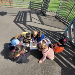 WhatsApp_Image_2025-04-04_a_20.54.28_33894e20